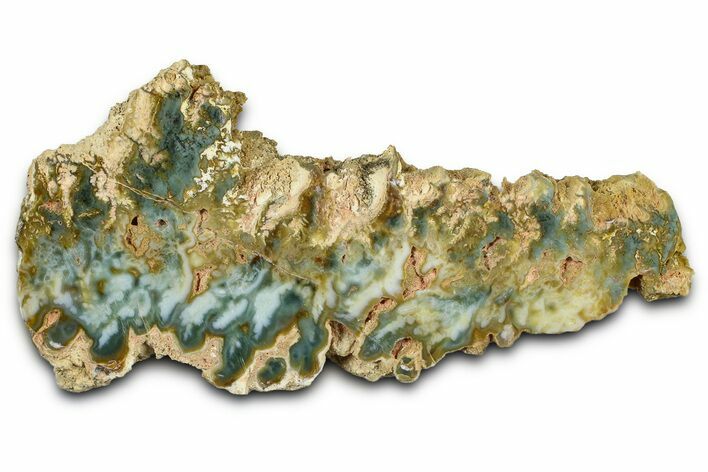 Polished Gabbs Valley Seam Agate Section - Nevada #371180